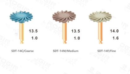 SILICONE COMPOSITE POLISHER - Image 2