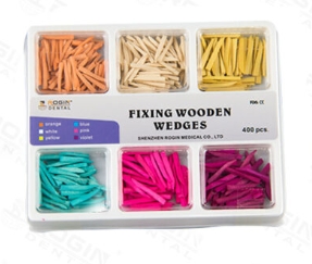 WEDGES–Endodontic instruments for fixing tooth